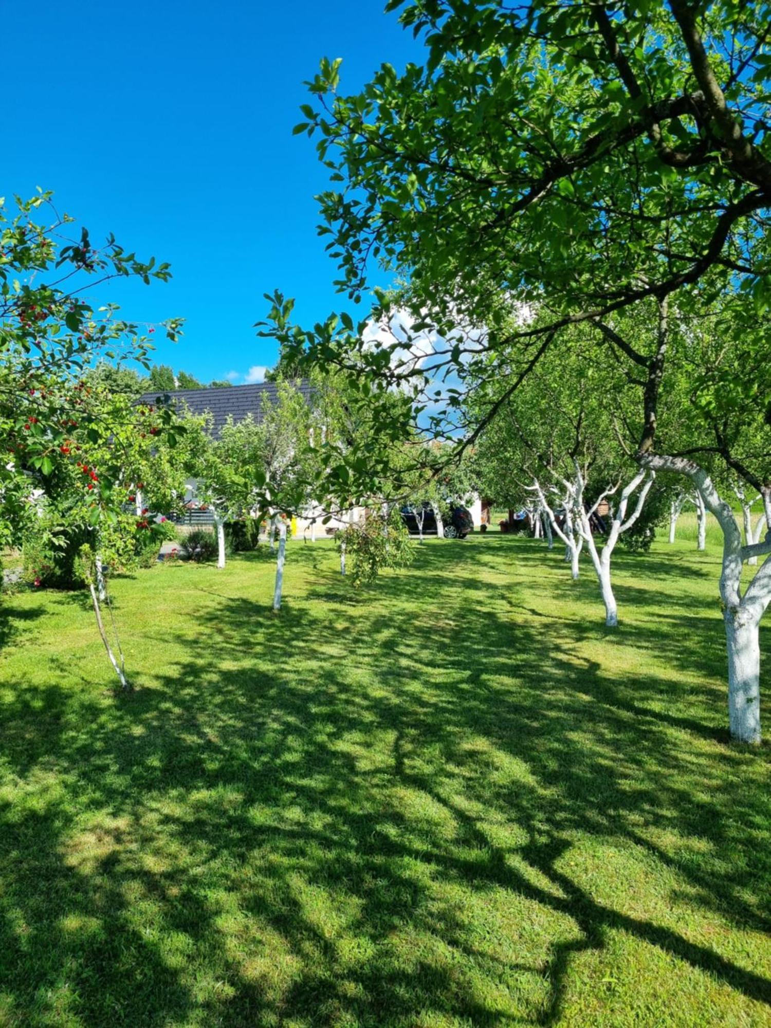 Apartment Rosandic Smoljanac Εξωτερικό φωτογραφία